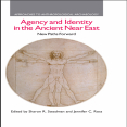 Sharon R. Steadman, Jennifer C. Ross - Agency and Identity in the Ancient Near East. New Paths Forward [Retail]
